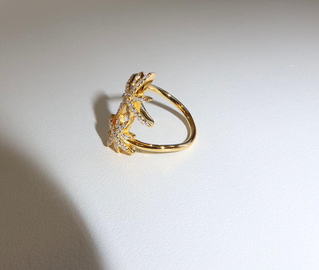 Anello Doppia Stella Luminosa