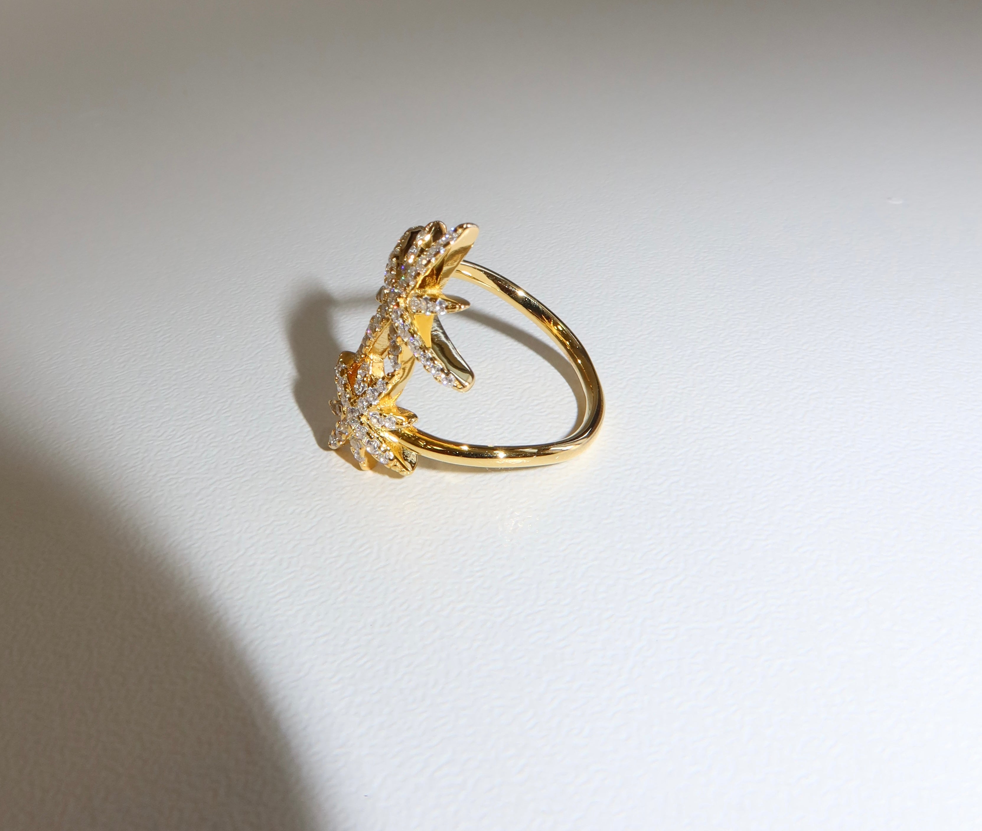 Anello Doppia Stella Luminosa