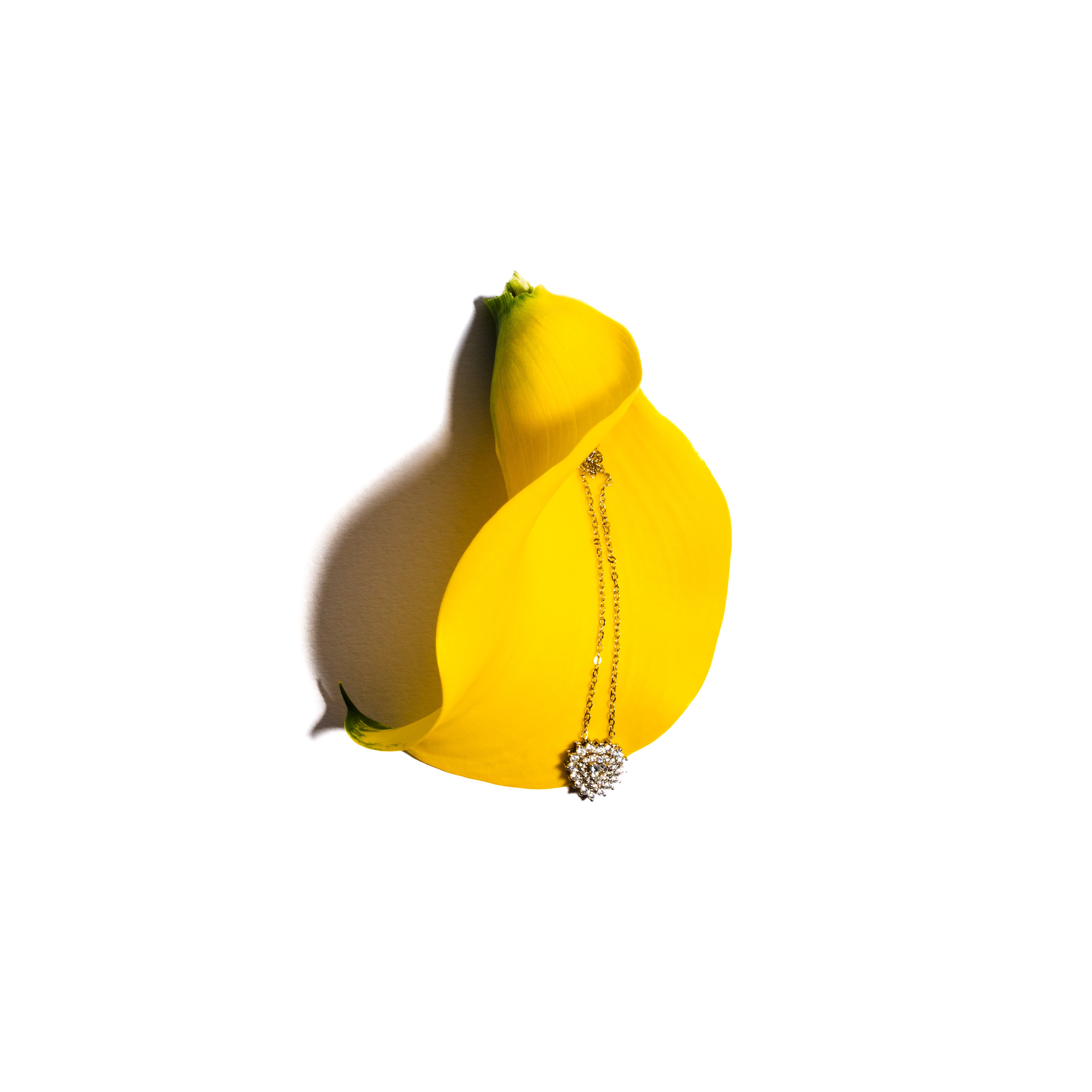 Collana Cuore Lumière