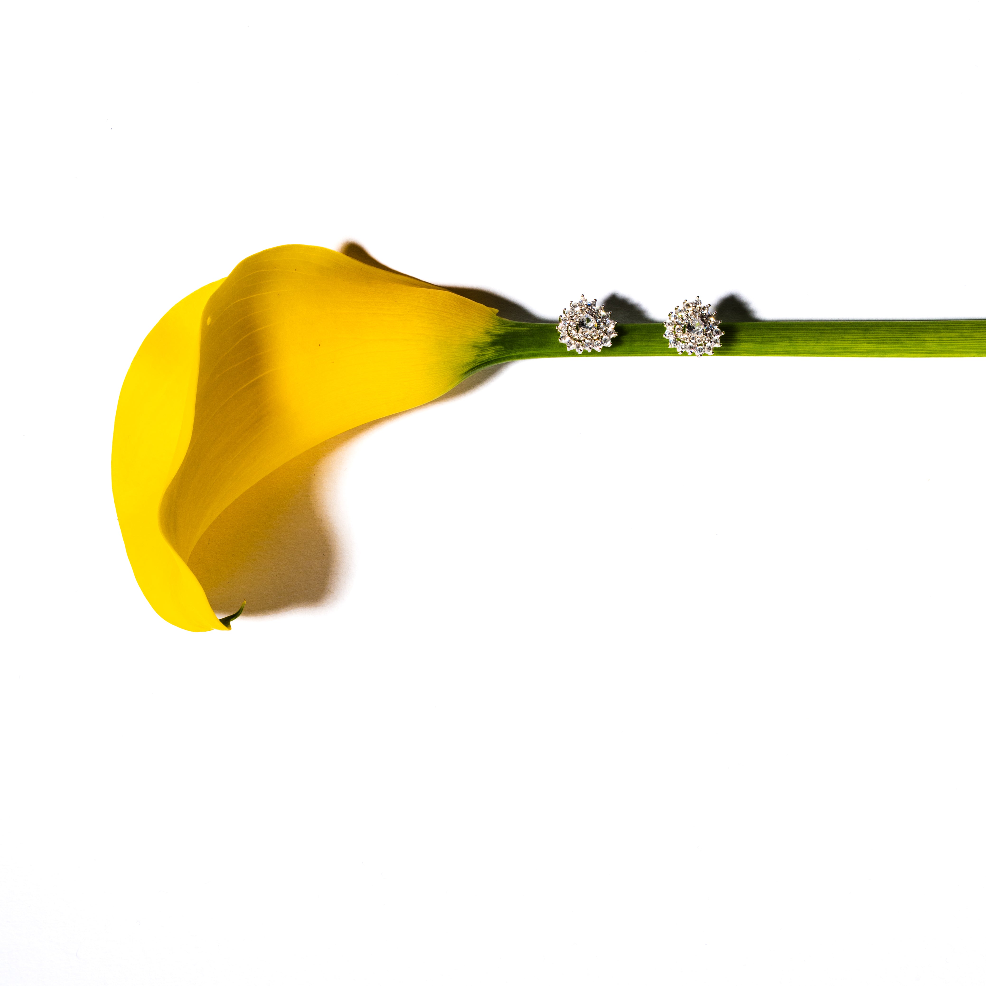 Orecchini cuore lumiere