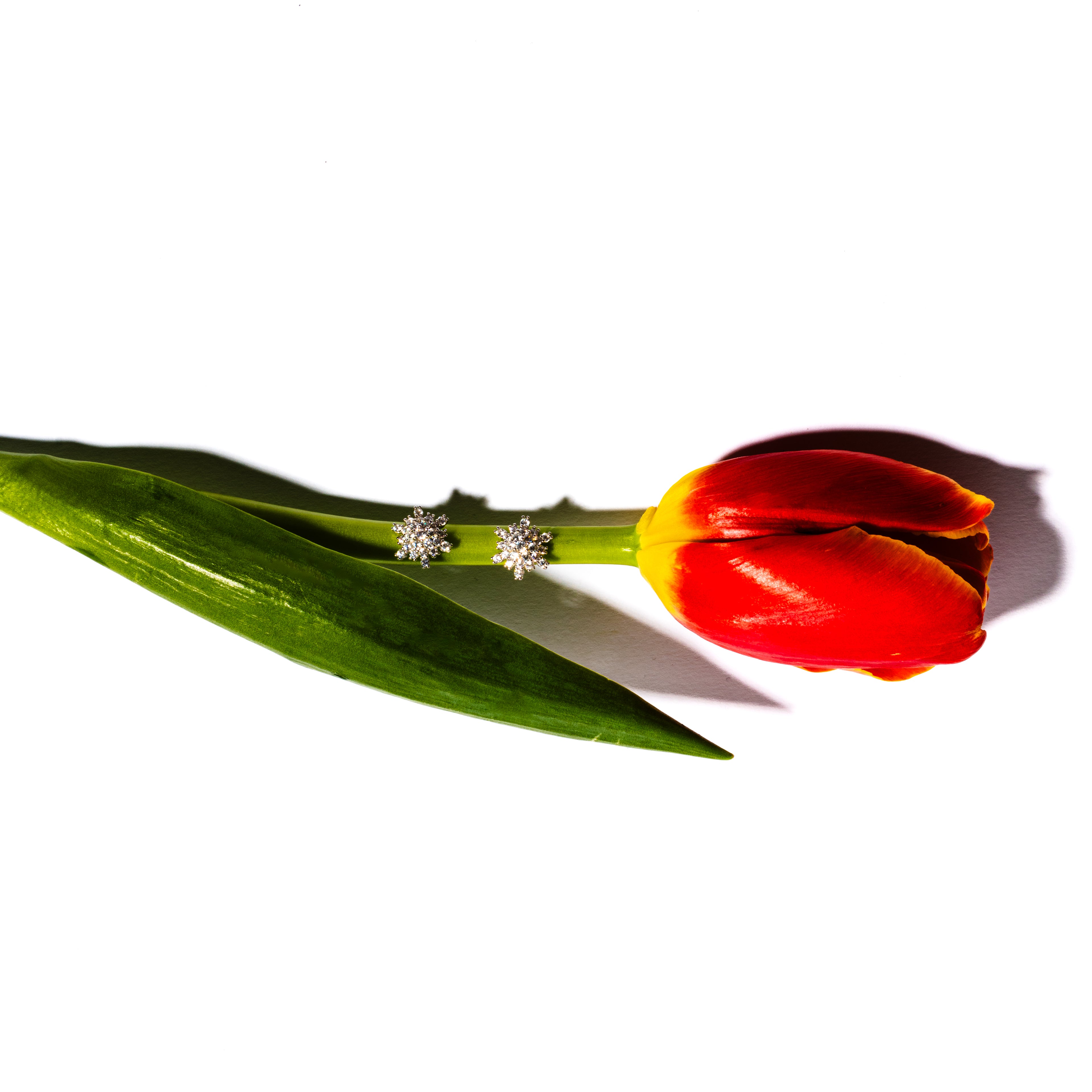 Orecchini Fiocco di Luce