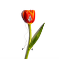 Collana fiore lumiére
