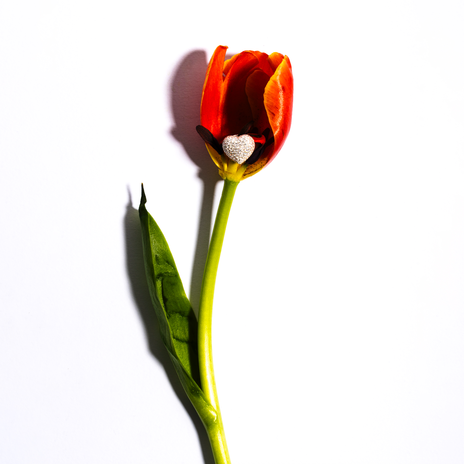 Anello cuore di argento