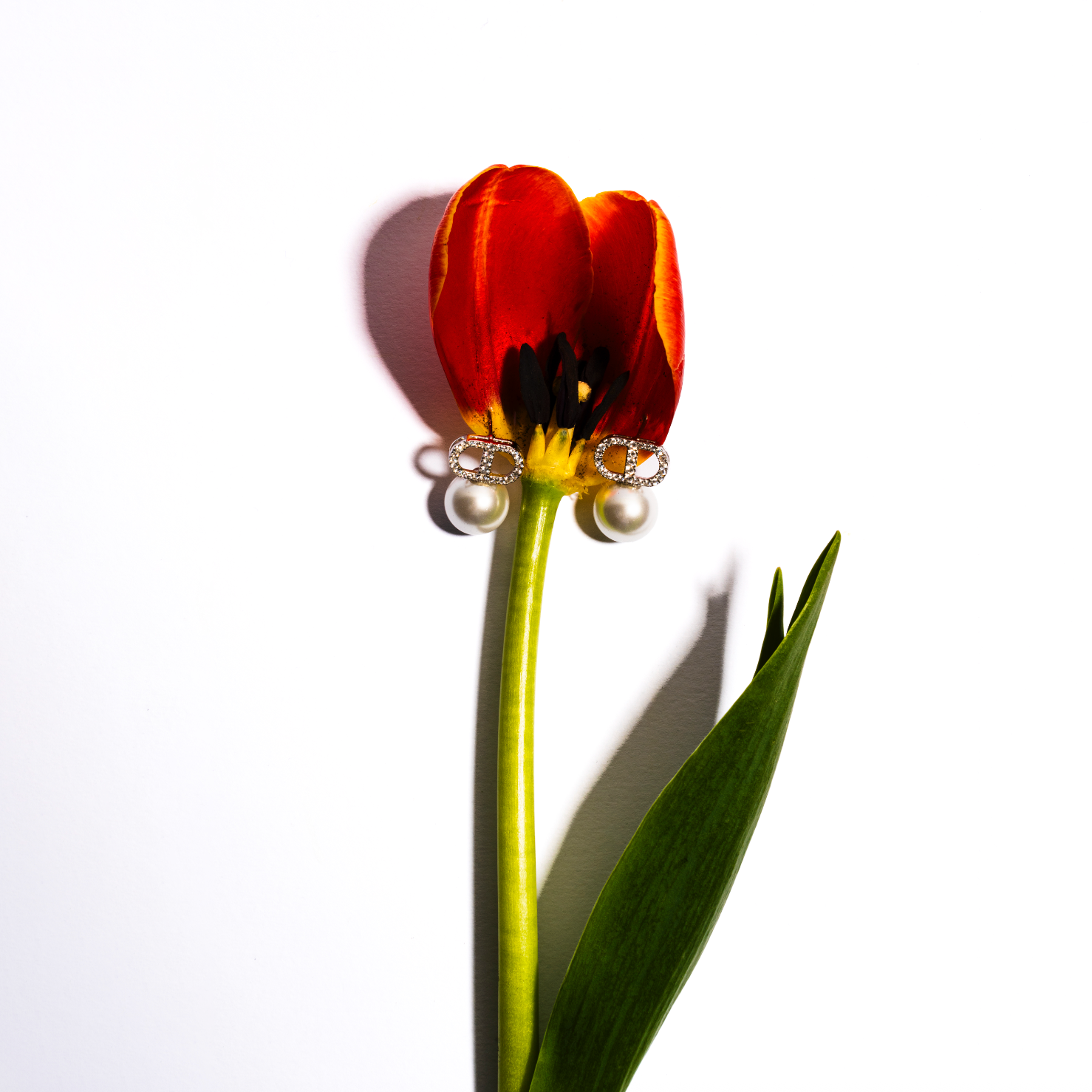 Orecchini Perla Royale